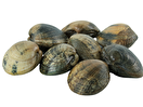 Vongole Veraci